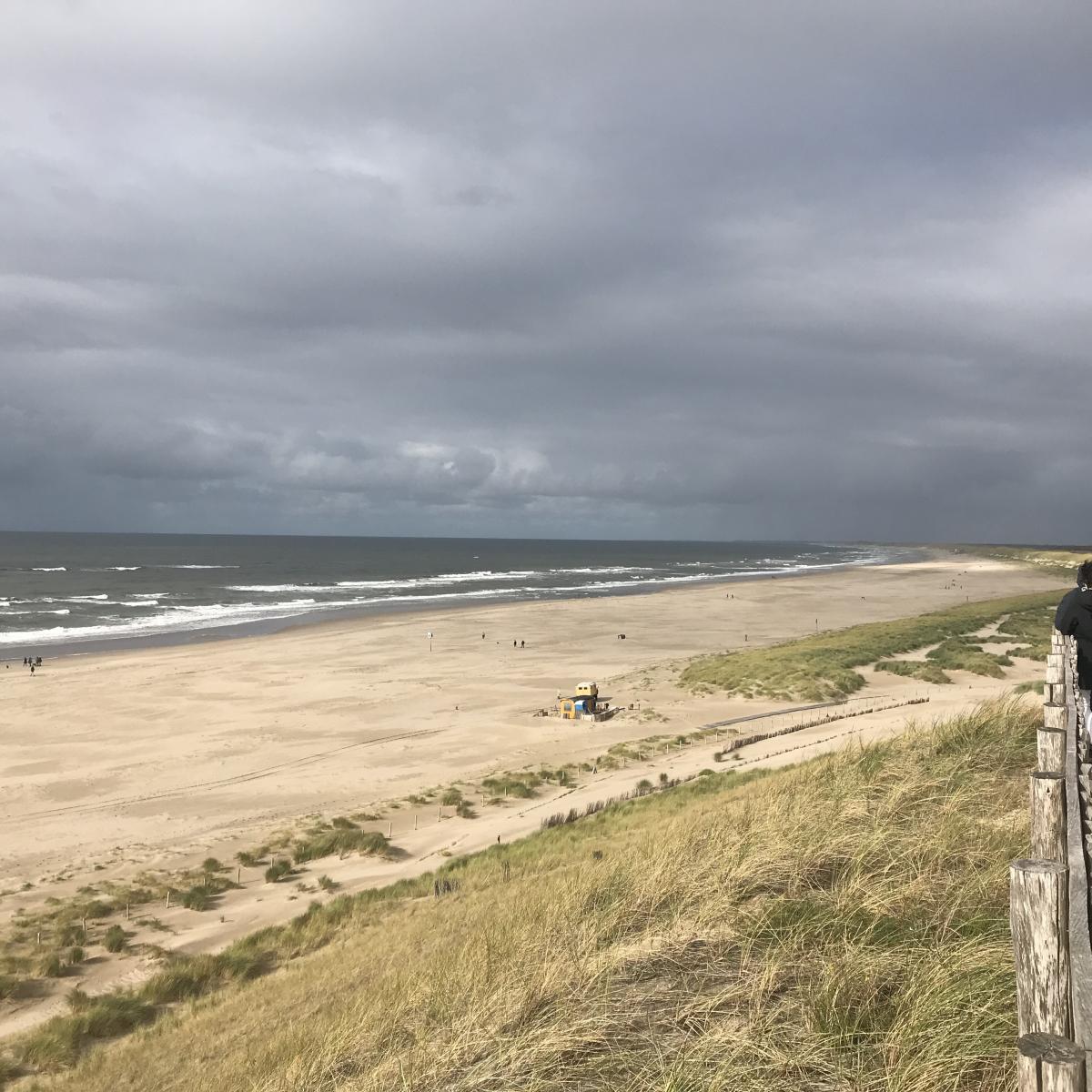 Uitvoeren Vertrouwelijk Wereldbol Nieuwste strand van Nederland | Buiten Bergen